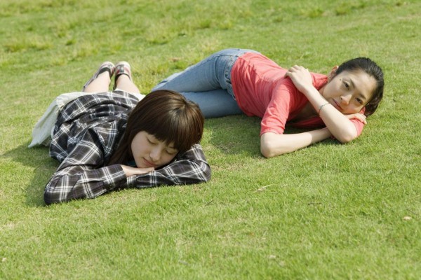 梅林夜色美，茶香伴你悠然自得